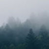 newfoundgray